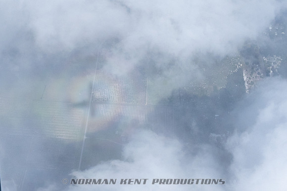 NKP-Canopy Formation Records 2023-NKP01443