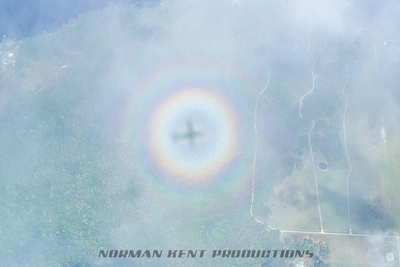 NKP-Canopy Formation Records 2023-NKP01456