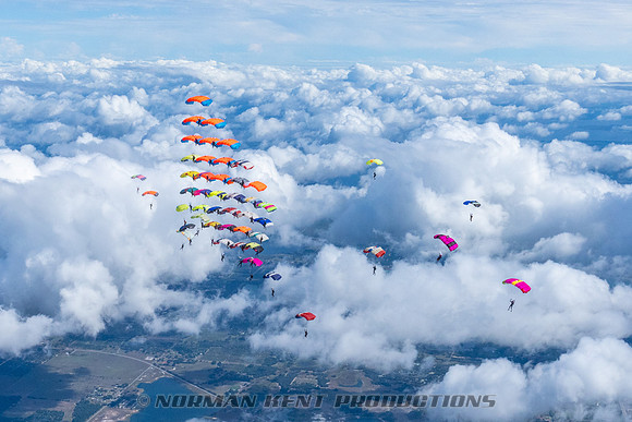 NKP-Canopy Formation Records 2023-NKP01490-2