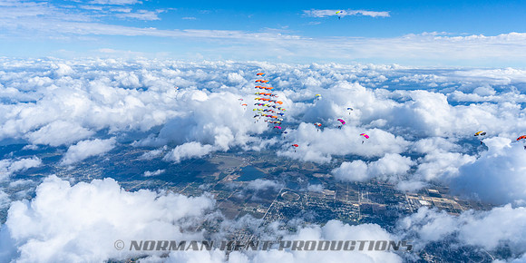NKP-Canopy Formation Records 2023-NKP01490