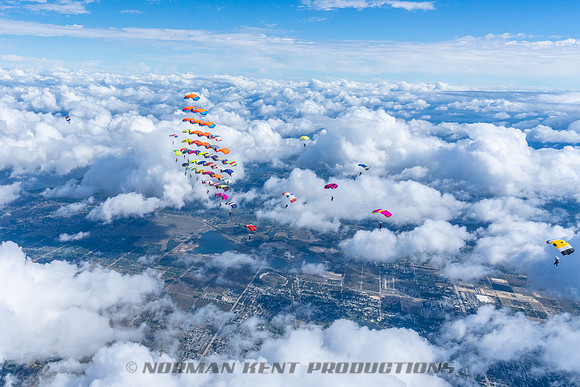 NKP-Canopy Formation Records 2023-NKP01493
