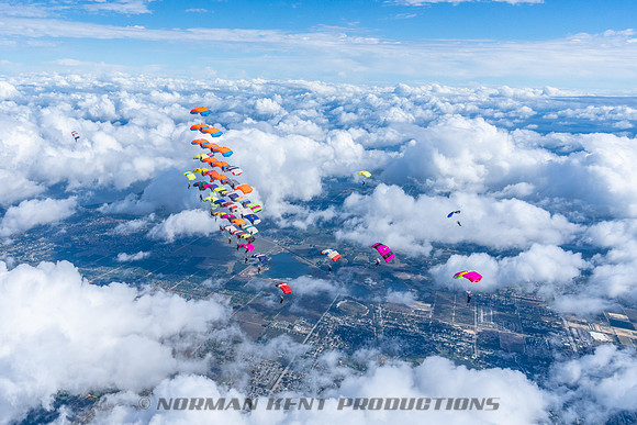 NKP-Canopy Formation Records 2023-NKP01495