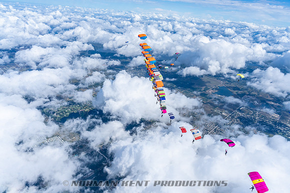 NKP-Canopy Formation Records 2023-NKP01499