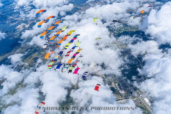 NKP-Canopy Formation Records 2023-NKP01505