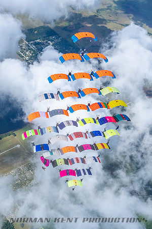 NKP-Canopy Formation Records 2023-NKP01554