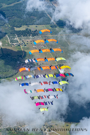 NKP-Canopy Formation Records 2023-NKP01584