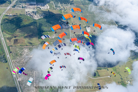 NKP-Canopy Formation Records 2023-NKP01600