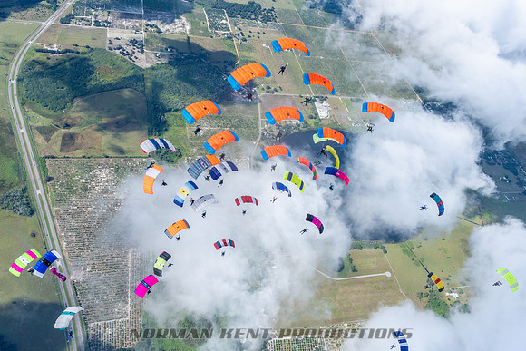 NKP-Canopy Formation Records 2023-NKP01602