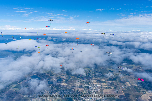 NKP-Canopy Formation Records 2023-NKP01689