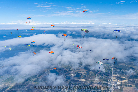 NKP-Canopy Formation Records 2023-NKP01691