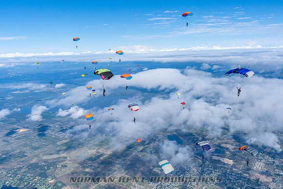 NKP-Canopy Formation Records 2023-NKP01693