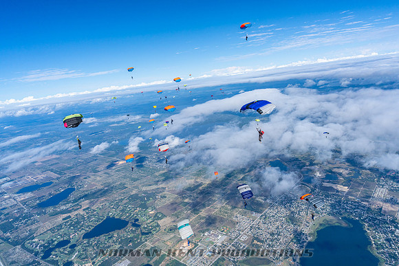 NKP-Canopy Formation Records 2023-NKP01694