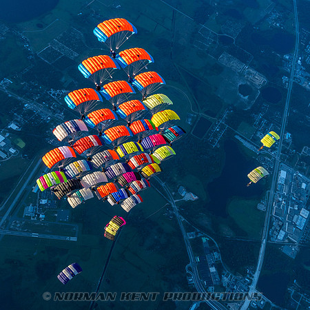 NKP-Canopy Formation Records 2023-NKP01767