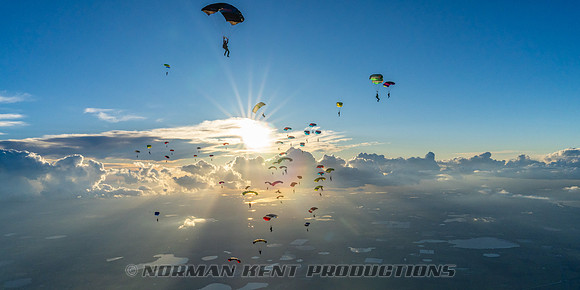 NKP-Canopy Formation Records 2023-NKP01830