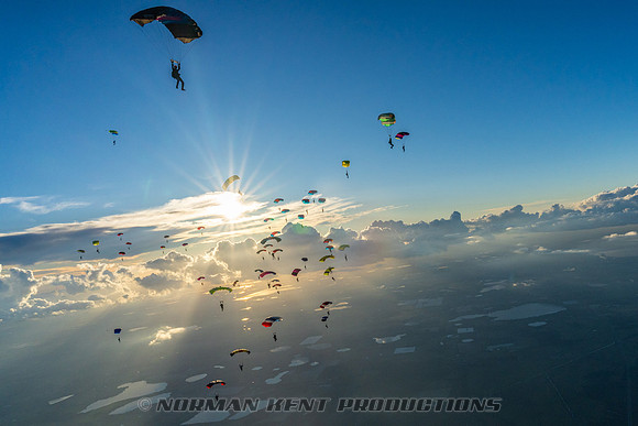 NKP-Canopy Formation Records 2023-NKP01832
