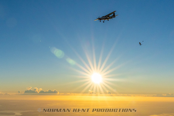 NKP-Canopy Formation Records 2023-NKP01935-2