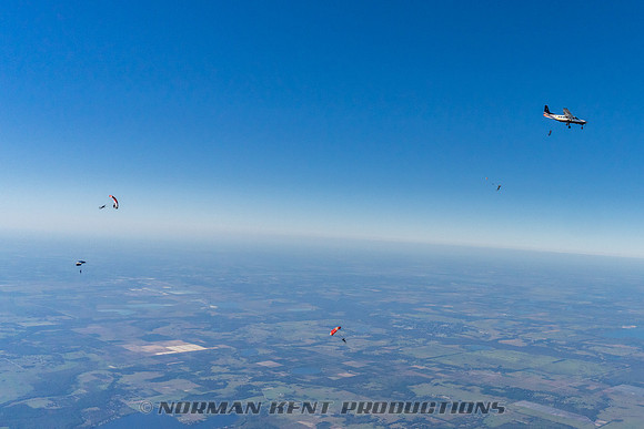 NKP-Canopy Formation Records 2023-NKP02195