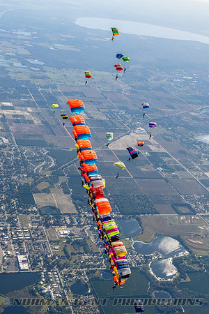 NKP-Canopy Formation Records 2023-NKP02254
