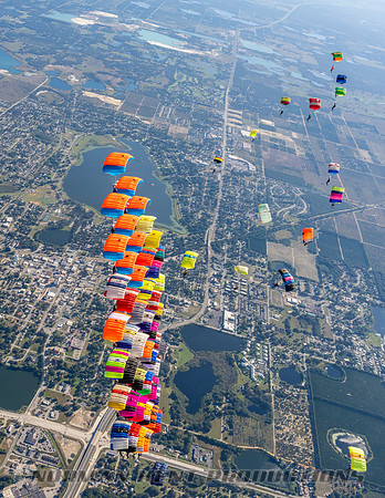 NKP-Canopy Formation Records 2023-NKP02259