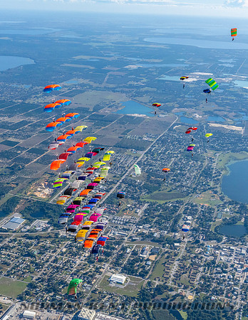 NKP-Canopy Formation Records 2023-NKP02298