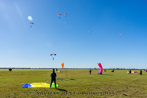 NKP-Canopy Formation Records 2023-NKP02648