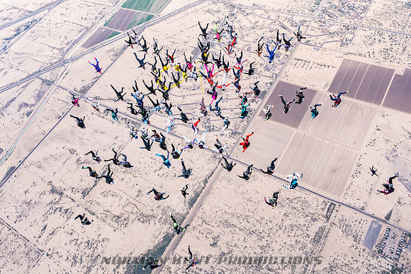 NKP-Project 19 Ladies Vertical Record-NKP01519