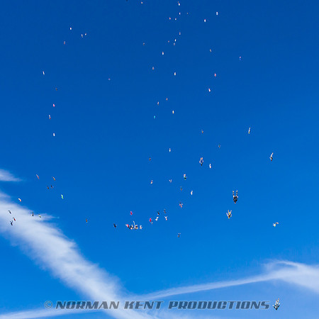 NKP-Summerfest 2015-5557