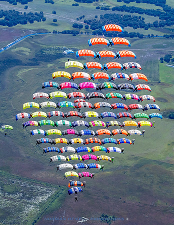 NKP-Canopy Formation Sequential Record 2024-NKP09876