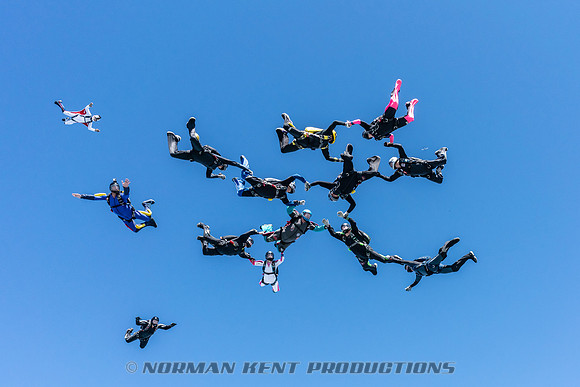 NKP-Jump For The Rose. 2019-DSC03291