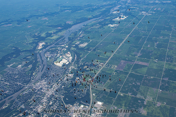 NKP-Summerfest 2015-837A6765