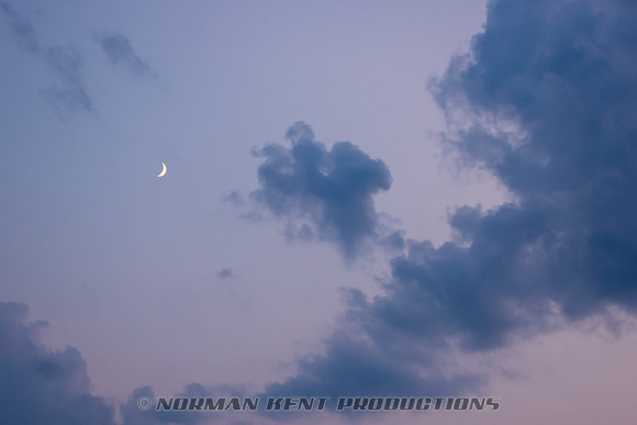 NKP-Summerfest 2014-03812
