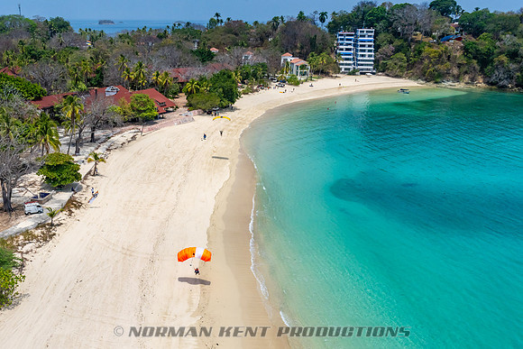100NKP-Pepe's Island Boogie 2024-NKP06645