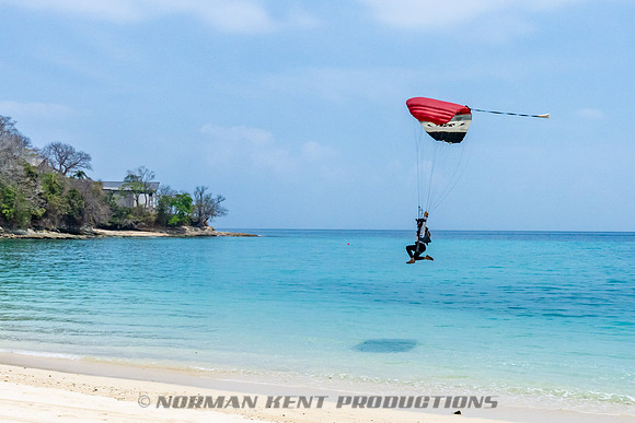101NKP-Pepe's Island Boogie 2024-NKP06653