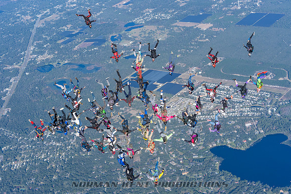 NKP-Florida State Vertical Record 47 Way-08663
