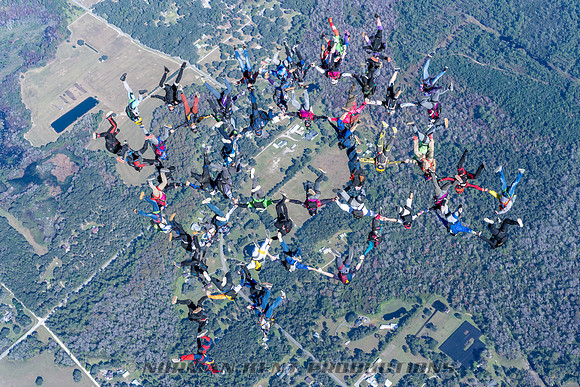 NKP-Florida State Vertical Record 47 Way-08821