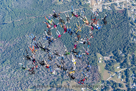 NKP-Florida State Vertical Record 47 Way-08893