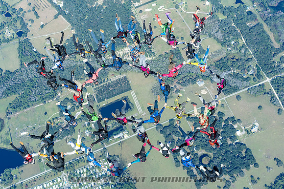 NKP-Florida State Vertical Record 47 Way-09216