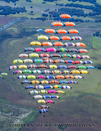 NKP-Canopy Formation Sequential Record 2024-NKP09876