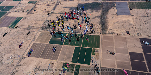 NKP-Project 19 Ladies Vertical Record by Norman Kent-NKP02389