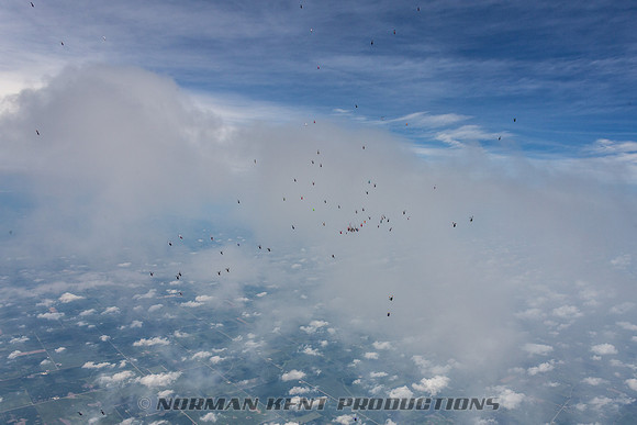 NKP-Summerfest 2015-4988