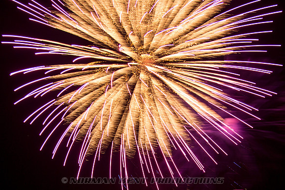 NKP-Summerfest 2015-837A8531