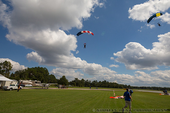NKP-Michael Hare 60 for 60-6549