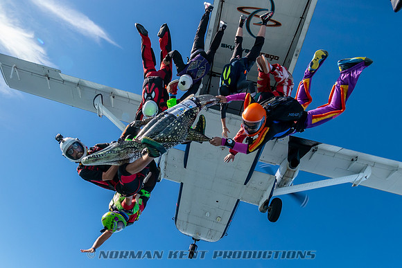 NKP-Summerfest 2019-00323
