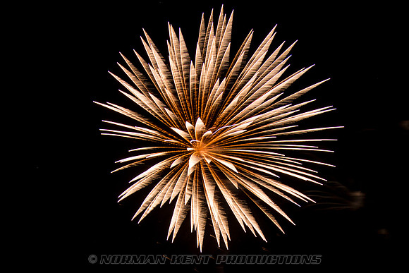 NKP-Summerfest 2015-837A8446