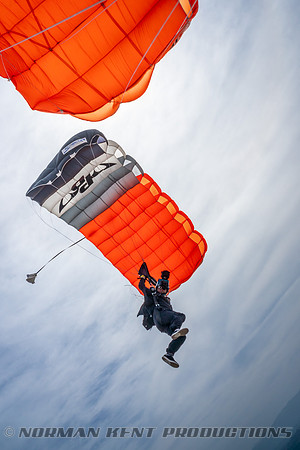 NKP-P3-Logos In Freefall 2018-00126