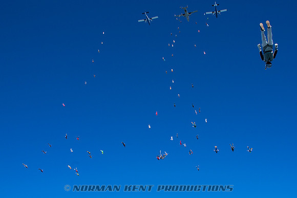 NKP-Summerfest 2015-837A6404