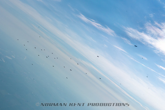 NKP-Wingsuit Record 2018 Tryouts - SDC-03213