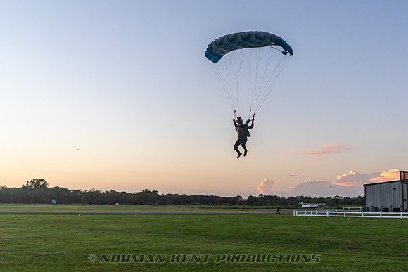 NKP-Jump For The Rose-07319