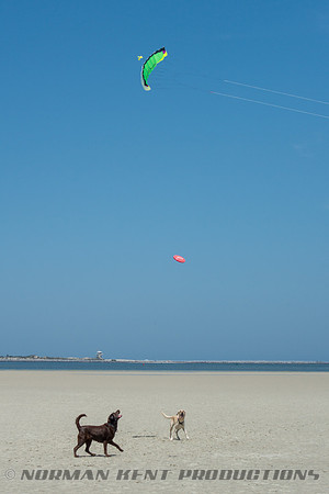 NKP-Disappearing Island 2014-03008