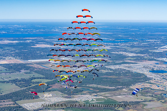 NKP-Canopy Formation Sequential Record 2024-NKP09669
